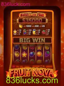 Descubra o Fascinante Mundo de FruitNova: Regras e Dicas para Jogar