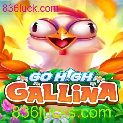 Explorando o Fascinante Mundo de GoHighGallina: Um Jogo Inovador e Empolgante